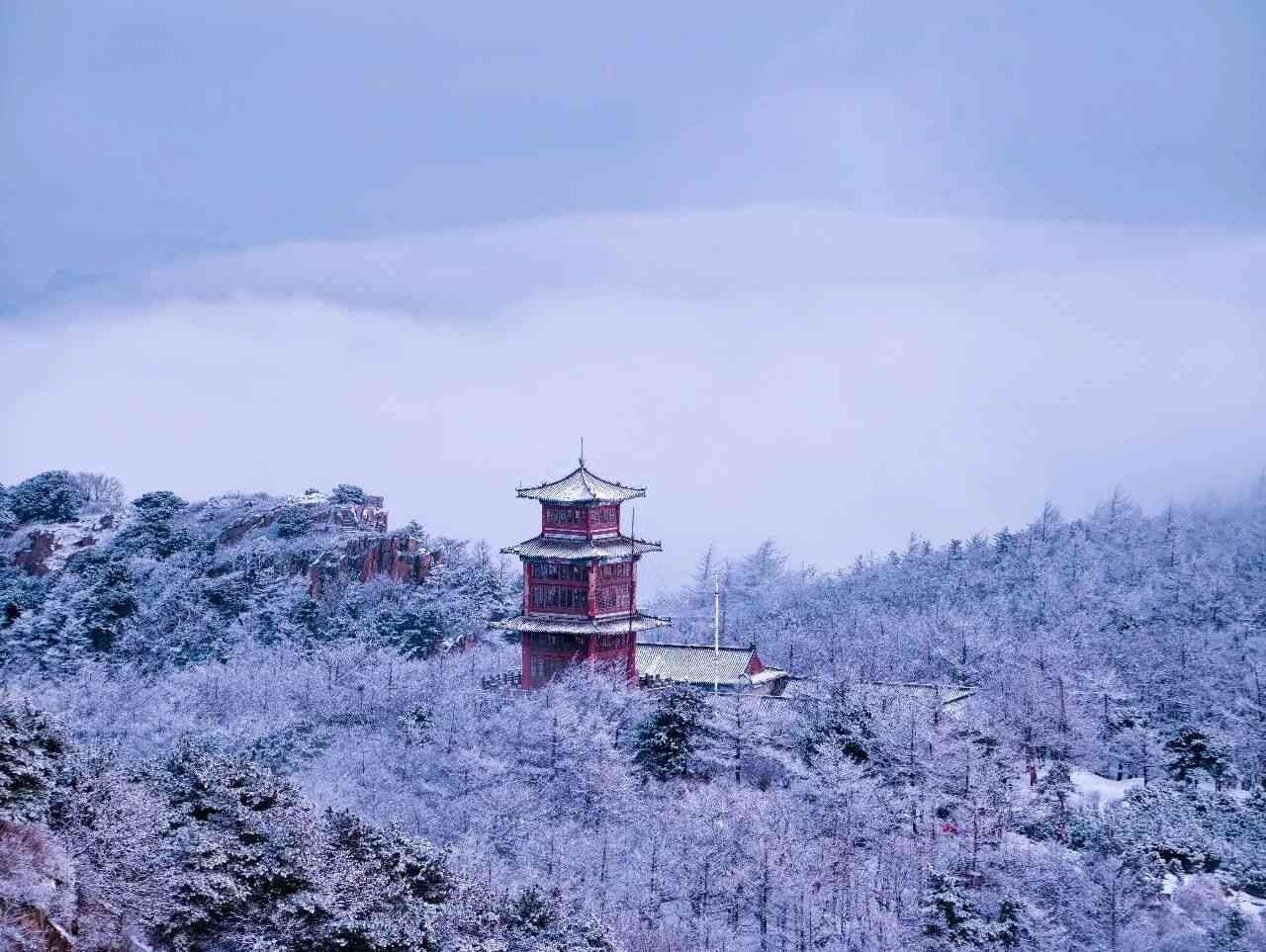 【职工家园】职工文艺·摄影篇（三）——捕捉美好瞬间 定格记忆画面