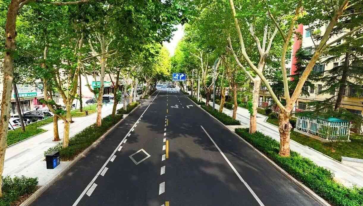 【城建专题】“一条路”的故事（二）