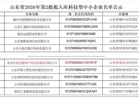 【喜报】泰安市泰岳数科产业运营服务有限公司成功入选山东省科技型中小企业名单